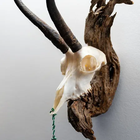 Aparthotel Garni Madrisa 3*